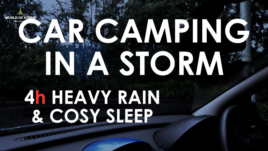 Car Interior In The Rain