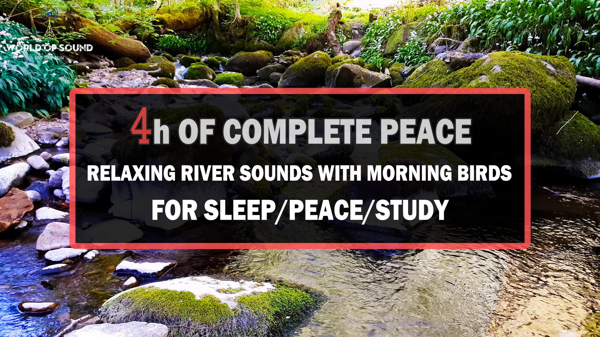 Gentle River In A Scottish Glen